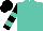 Silk - Turquoise, turquoise bars on black sleeves, black cap