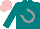 Silk - Teal, grey horseshoe, pink cap