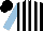 Silk - Black and white stripes, light blue sleeves