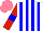 Silk - White, blue stripes, red sleeves ,blue armlets, salmon cap
