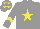 Silk - Grey body, yellow star, grey arms, yellow chevron, grey cap, yellow stars