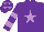 Silk - Purple, mauve star, hooped sleeves and stars on cap