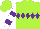Silk - Lime green, purple diamond hoop, purple hoops on white sleeves