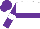Silk - White, purple hoop, white band on purple sleeves, purple cap