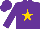 Silk - Purple,gold star, purple cap