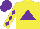 Silk - Yellow, purple triangle, purple diamonds on sleeves, purple cap