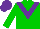Silk - Green,purple chevron,sleeves,cap