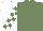 Silk - Sea green, white checked sleeves, white cap