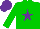 Silk - Green, purple star cap