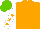 Silk - Orange,white sleeves,orange stars, light green cap