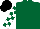 Silk - Dark green, white & black emblem, dark green sleeve, black & white checked sleeve, black cap
