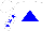 Silk - White, blue triangle, white sleeves, blue stars, white cap