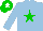 Silk - Light blue, green star, light blue arms, green cap, white star