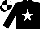Silk - Black, white star, black and white quartered cap
