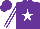 Silk - purple, white star, striped sleeves