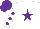 Silk - White, purple star, white sleeves, purple spots, purple cap