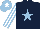 Silk - Dark blue, light blue star, white and light blue striped sleeves, light blue cap, white star