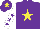 Silk - Purple, yellow star, white sleeves, purple stars, purple cap, yellow star