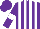 Silk - Purple, white stripes, purple sleeves, white armbands