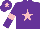 Silk - Purple, pink star, pink armlet, pink star on cap