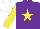 Silk - Purple, yellow star & sleeves, white cap