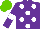 Silk - Purple, white spots, purple sleeves, white armlets, light green cap