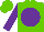 Silk - light green, purple disc, purple sleeves