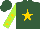 Silk - Hunter green, gold star, gold stars on lime green sleeves