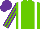 Silk - Light green, white braces, light green, purple striped sleeves, purple cap