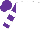 Silk - White, green four-leaf clover, white bars on purple sleeves, purple cap