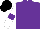 Silk - Purple, white sleeves, purple armlet, black cap