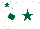 Silk - White, dark green star, armlets and star on cap