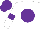 Silk - white, purple ball, purple armlets, purple cap