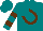 Silk - Teal, brown horseshoe, brown bars on sleeves