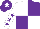 Silk - White and purple (quartered), white sleeves, purple stars, purple cap, white star