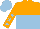 Silk - orange, light blue halved horizontally, light blue stars on sleeves, light blue cap