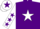 Silk - Purple, White star, White sleeves, Purple stars, White cap, Purple star