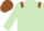 Silk - Light Green, Brown epaulets, Brown cap