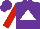 Silk - Purple, white triangle, red sleeves, purple cap