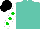 Silk - Turquoise, green spots on white sleeves, black cap