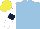 Silk - Light blue, white sleeves, dark blue armlets, yellow cap
