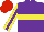 Silk - Purple, yellow hoop, purple stripe on yellow sleeves, red cap