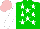 Silk - Green, white stars and sleeves, pink cap