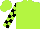 Silk - Lime green, black dragon, black blocks on sleeves, lime green cap