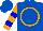 Silk - Royal blue, orange circle, 'r' on back, two blue hoops on orange sleeves