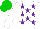 Silk - White, purple stars, green cap