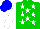 Silk - Green, white stars and sleeves, blue cap