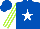 Silk - Royal blue, white star, white sleeves, lime green stripes