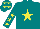 Silk - Teal, yellow star, yellow stars on sleeves, yellow stars on teal cap