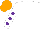 Silk - White, purple spots on white sleeves, orange cap